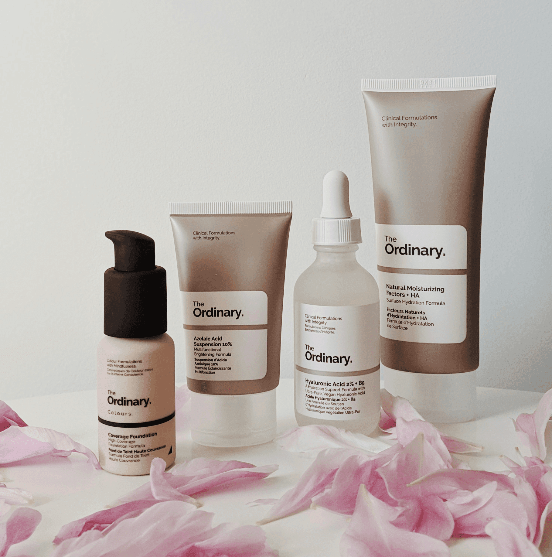 Technical Optimization